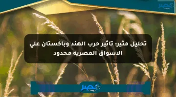 تحليل مثير: تأثير حرب الهند وباكستان على الأسواق المصرية محدود